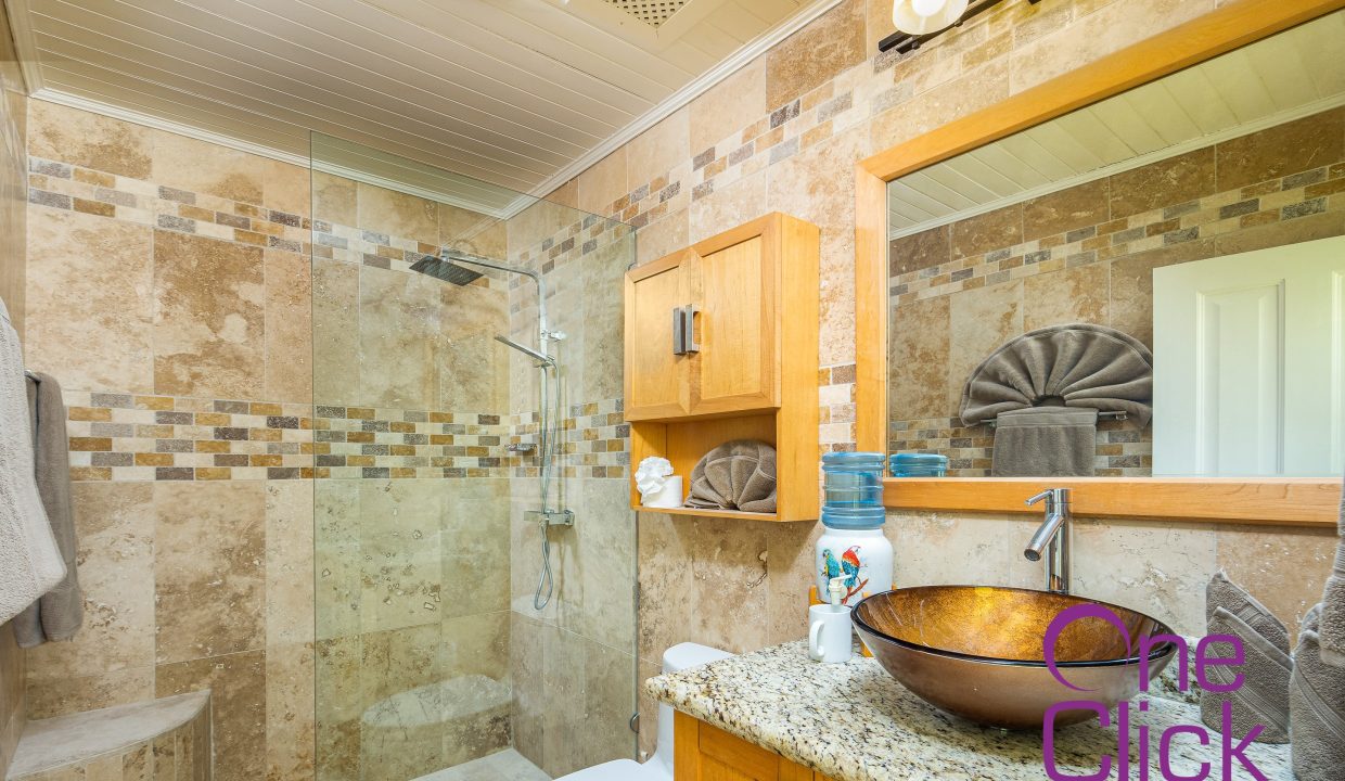 07 Bathroom (1)