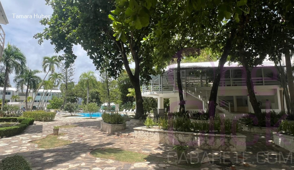 12 studio